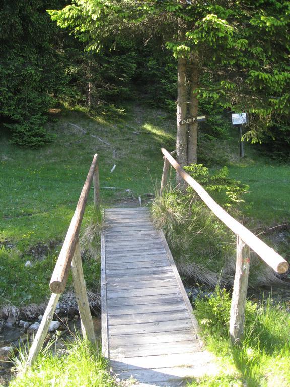 Huettentraum Flattnitz Εξωτερικό φωτογραφία