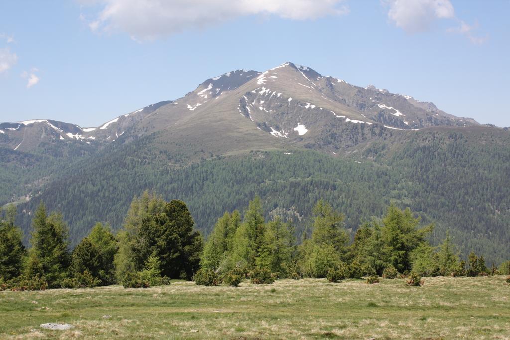 Huettentraum Flattnitz Εξωτερικό φωτογραφία