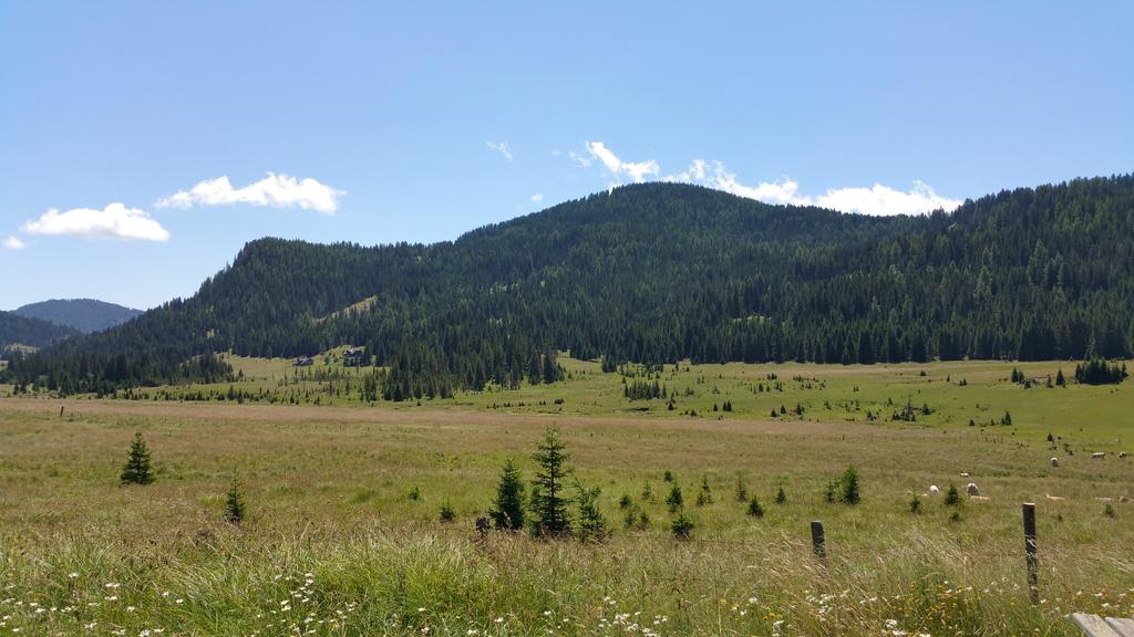 Huettentraum Flattnitz Εξωτερικό φωτογραφία