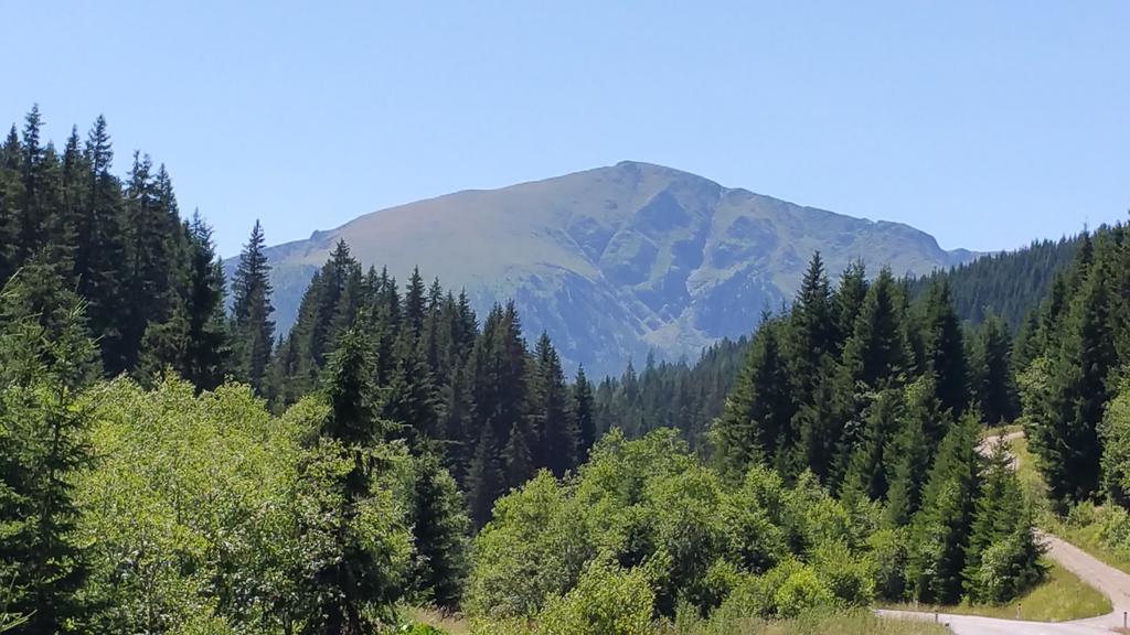 Huettentraum Flattnitz Εξωτερικό φωτογραφία